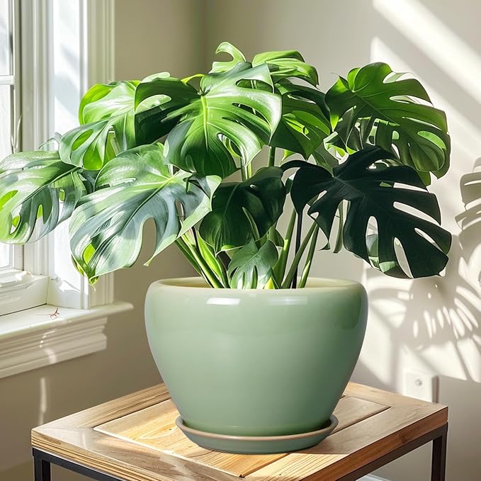 Ceramicfor Ceramic Planter Pot - 10 Inch Plant Pot for Indoor Plants Decorative Planter with Drainage Hole and Saucer Large Pot for Plants Outdoor Round Flower Pot for Garden Green