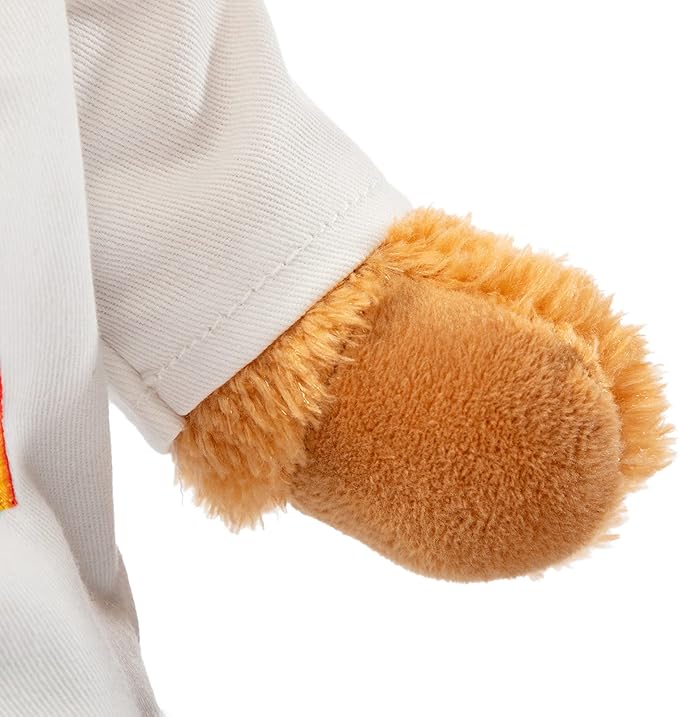 HollyHOME Doctor Bear Stuffed Animal Plush Teddy Bear in Scrubs and White Coat Gifts for Doctors Students and Kids 10 Inch