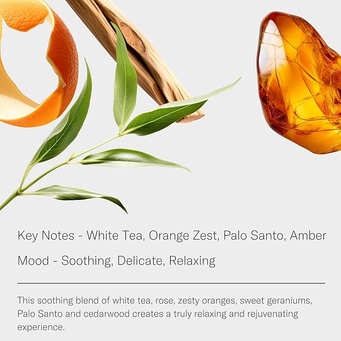 AromaTech White Tea Aroma Essential Oil Blend: Luxury Hotel Inspired Aromatherapy with White Tea, Orange & Palo Santo for Ultrasonic Diffusers & Nebulizers (60 mL)