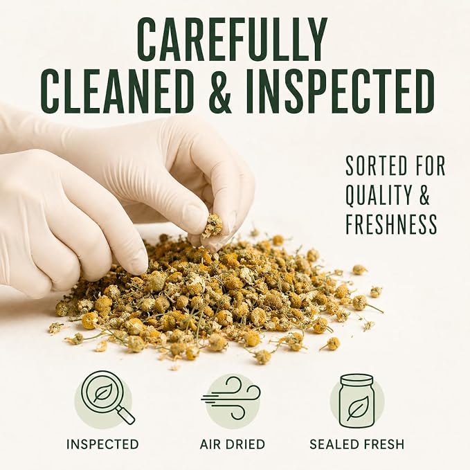 J Mac Botanicals Organic Chamomile Flowers (16 oz) – Whole Egyptian Chamomile Loose Leaf Herbal Tea, Caffeine-Free, Premium Dried Chamomile Flowers for Tea, Baths & Blends