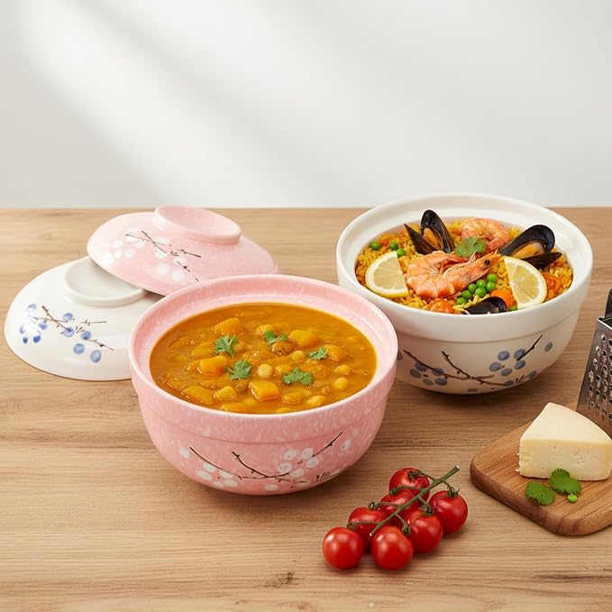 MAQUITA 2 Pack 27oz Ceramic Ramen Bowl with Lid Microwavable Japanese Korean Soup Bowl Clay Pot Dinnerware for Noodle Rice Porridge