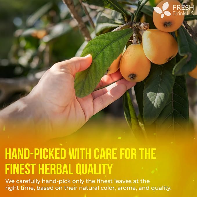 FreshDrinkUS, Premium 8oz Loquat Leaves | Dried Loquat Loose Leaf Tea | Eriobotrya japonica | Naturally Dried, Cut & Sifted | Herbal Tea Ingredient. Sugar-Free. Caffeine-Free. Vegan