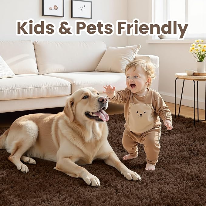 5x8 Area Rugs for Living Room: Soft Fluffy Shag Brown Rugs for Bedroom, Non Slip Large Fuzzy Plush Rug Indoor Floor Carpet for Nursery Kids Boys Girls Room, Dorms, Playroom, Modern Home Decor