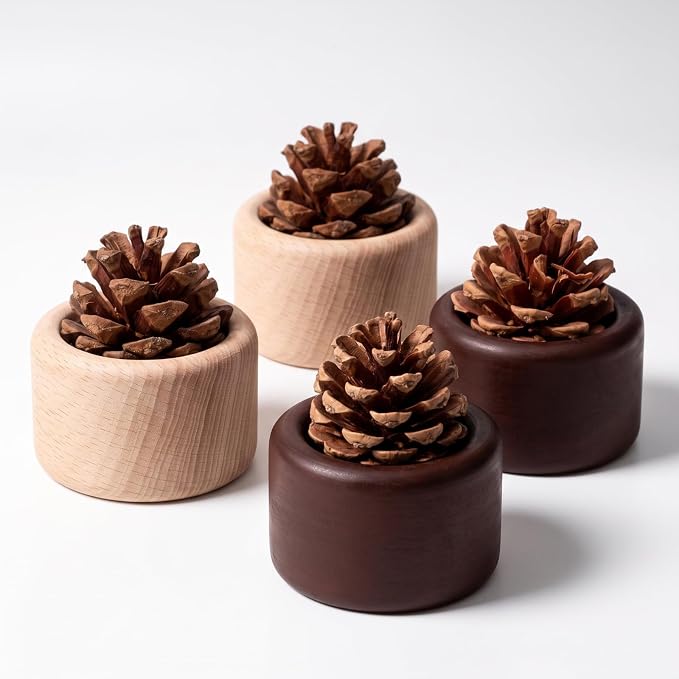 Teenyyou 4 Pcs Pinecone Passive Diffuser for Car Wood Woodpile Essential Oil Diffuser Round and Square Home Office Bedroom Decoration