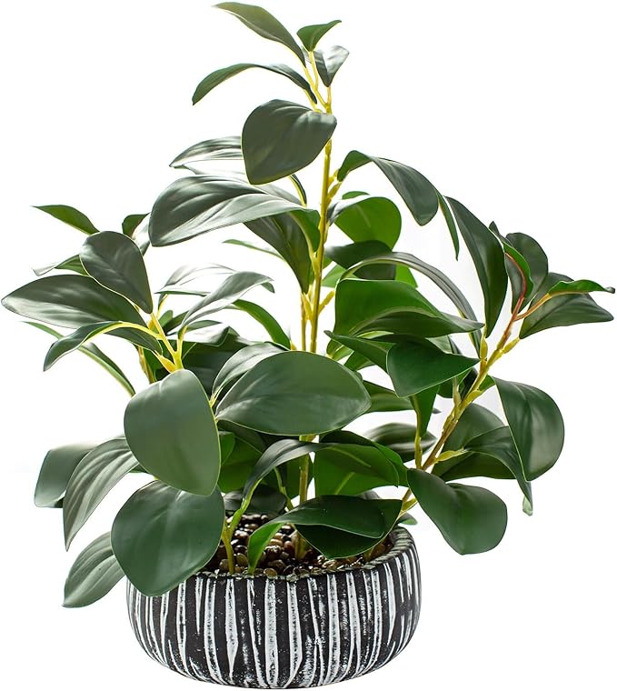 AlphaAcc Fake Plants Artificial Indoor Succulents Home Office Decor | Artificial plants with rustic black clay planter ideal bathroom kitchen office farmhouse desk living room indoor decor