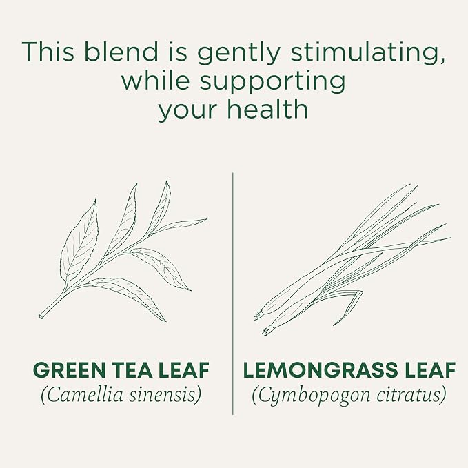 Traditional Medicinals Tea, Organic Green Tea Lemongrass, 96 Tea Bags (6 Pack)