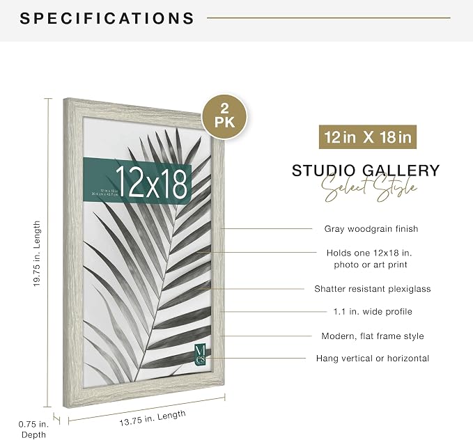 MCS Studio Gallery 12x18 Picture Frame Gray Woodgrain Engineered Wood, Rectangle Photo Frame for Photos, Posters & Art Prints (2-Pack)