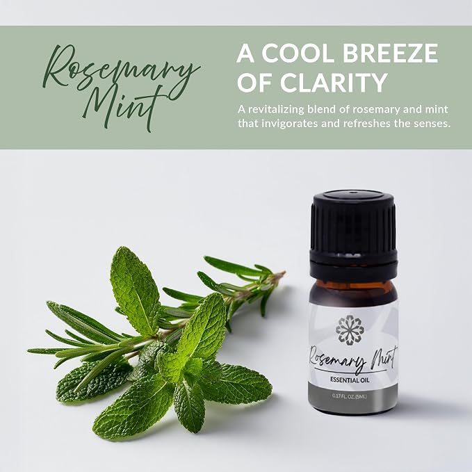 Essence Refresh Kit | Solid Scents Essential Oils | Aromatherapy Nasal Diffuser | Personal Scent Clip for Travel, Work & Everyday Use | Made in USA | Rosemary Mint | Black Pod