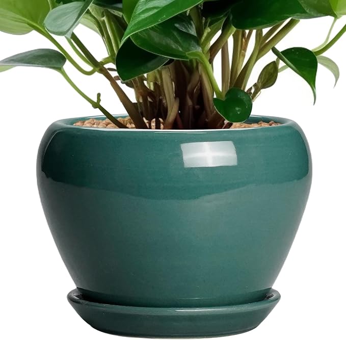 Ceramicfor Indoor Plant Pot 6 Inch - Ceramic Planter with Drainage Hole and Saucer, Modern Decorative Indoor Planter for Herb Succulent Plants, Garden Home Decor, Gifts for Plant Lovers, Green