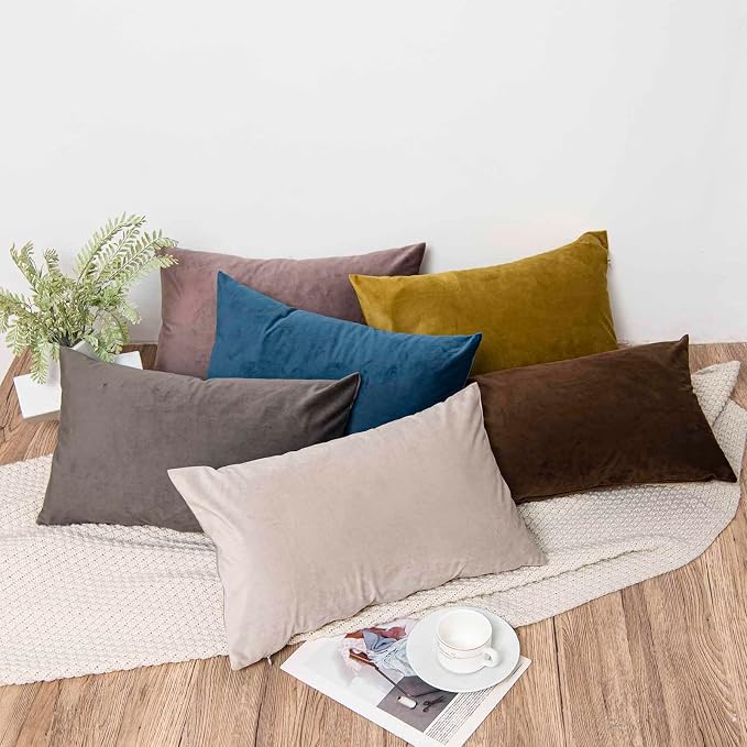 Throw Pillow Covers Set of 2 for Couch Bed Velvet Cushion Cover 14x14,Ash | Decorative Pillow Covers with Invisible Zipper for Sofa Living Room Bedroom Home Decor Modern