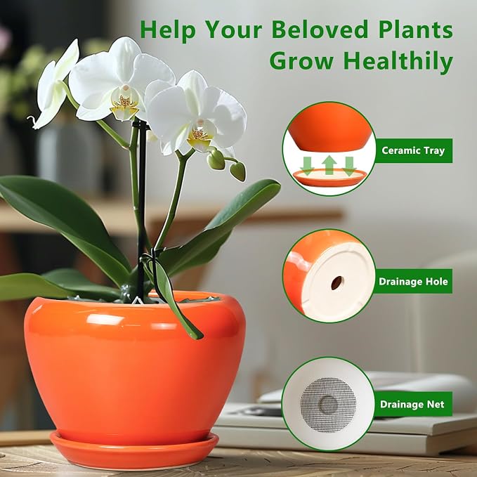 Ceramicfor Ceramic Pot for Plants - 10 Inch Plant Pot with Drainage Hole and Saucer, Modern Round Glaze Planter for Indoor Outdoor Plants, Plant Lover Gifts, Home Garden Office Decor, Orange