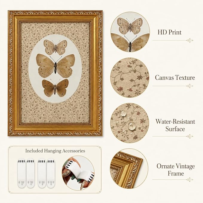 Vintage Butterfly Specimen Wall Art, Gold Framed Canvas Print | Vintage butterfly specimen wall art with gold frame, suitable for study room, office, and gallery wall decoration.