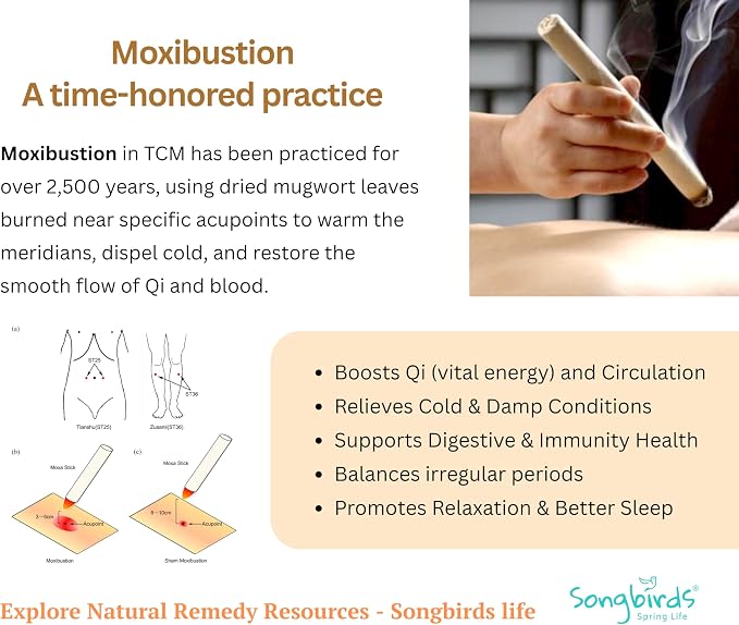 Upgraded Design Moxibustion Gua Sha Kit with Natural Bian Stone, Moxa Herbal Skincare | Stone Massage Kit for Relaxation & Self-Care