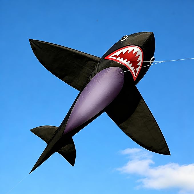 HENGDA KITE for Kids Lifelike Black Shark Kite Single Line Kite Flying for Children Kids Outdoor Toys Beach Park Playing