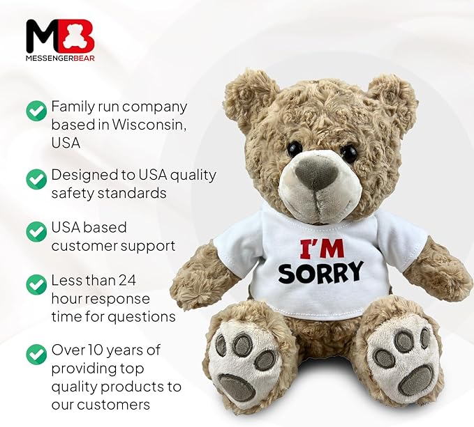 I’m Sorry Teddy Bear 10” Sitting | I Love You Im Sorry Plushie | Im Sorry Gifts for Her Stuffed Animal