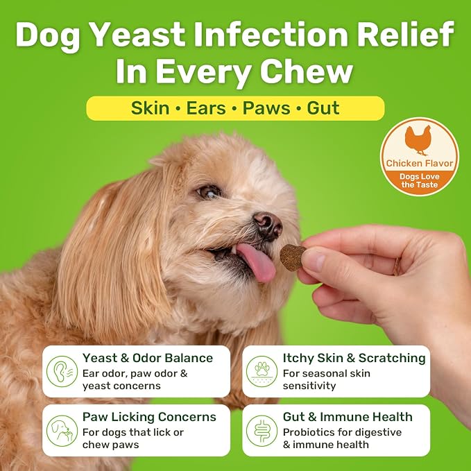 Puyrzoe Yeast Infection Treatment for Dogs, Itchy Skin, Paw Licking, Ear Odor & Allergy Relief, Natural Dog Yeast Infection Treatment, 200 Soft Dog Yeast Treatment Chews with Probiotic, Chicken Flavor
