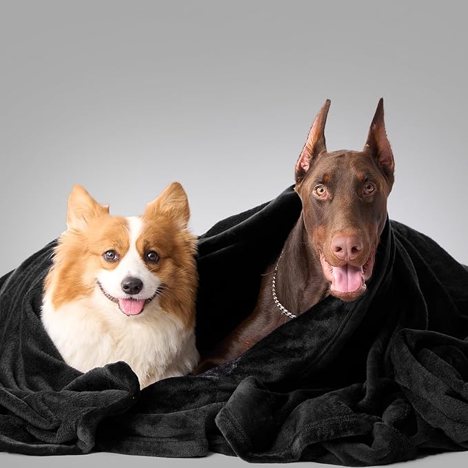 Hansleep Queen Black Fleece Blanket, Soft Flannel Bed Blanket | Fuzzy Cozy Blanket 90x90 Inches, Multi-use for Bed, Sofa, Couch, Travel, Camping, All Season Warm Lightweight Cover