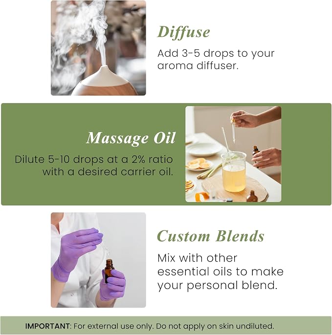 Handcraft Blends Oregano Oil – 1 Fl Oz – 100% Pure and Natural – Premium Grade Essential Oil for Diffuser and Aromatherapy, Skin, Massage, Candle and Soap Making Fragrance