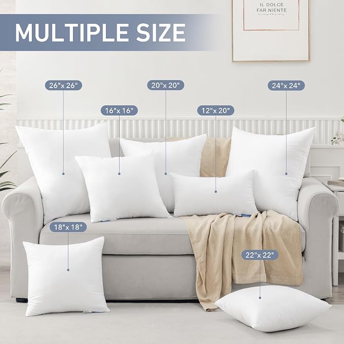 Leeden 22 x 22 Pillow Inserts Set of 2, Plush Down Alternative Decorative Throw Pillow Inserts for Couch, Sofa & Bed, Square Cushion Inserts for Home Decor