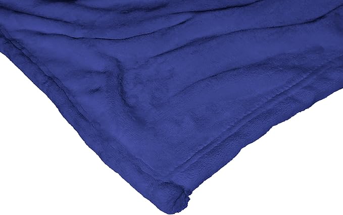 Northwest Disney 100 Silk Touch Throw Blanket, 50" x 60", Photo Strips