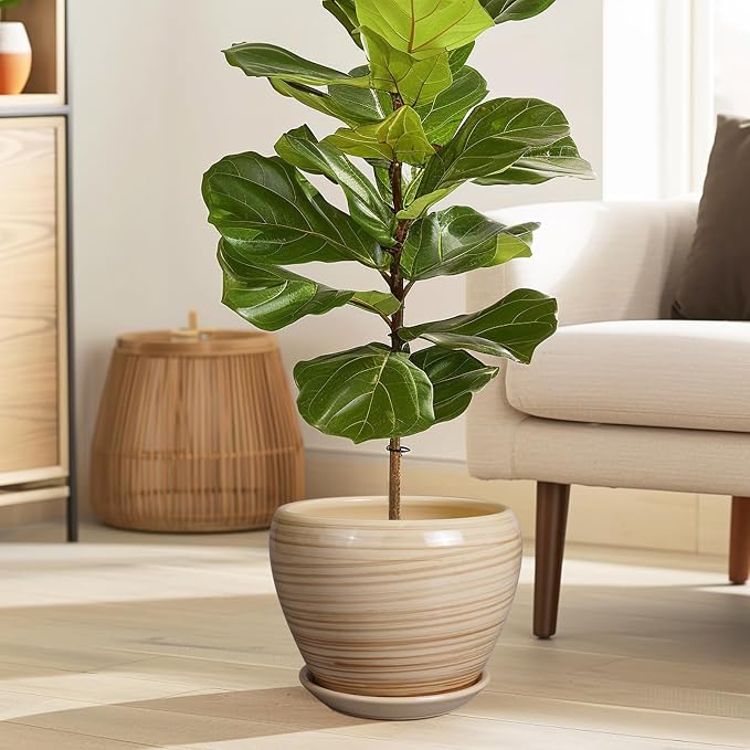 Ceramicfor Planter 8 Inch - Indoor/Outdoor Ceramic Plant Pot With Drainage Hole and Saucer, Round Modern Flower Planter for Succulents, House, Patio - Yellow
