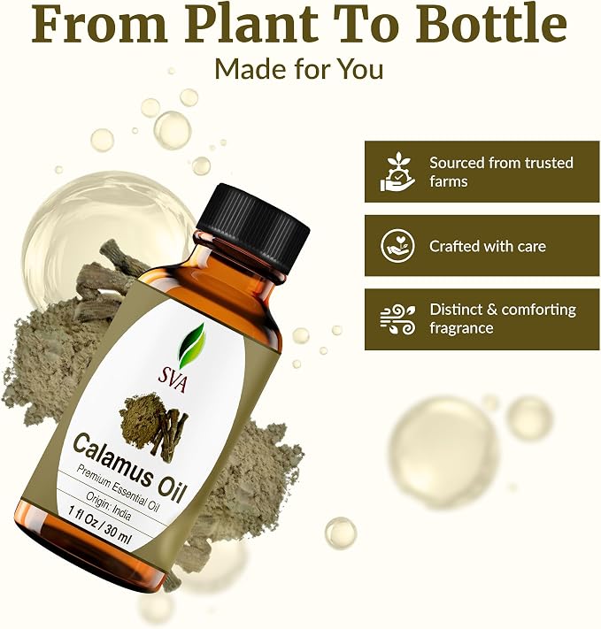 SVA Calamus Essential Oil – 1 Fl Oz – 100% Natural Calamus Oil - for Diffuser, Hair Care, Face, Skin Care, Aromatherapy, Scalp and Body Massage, Soap and Candle Making – with Dropper