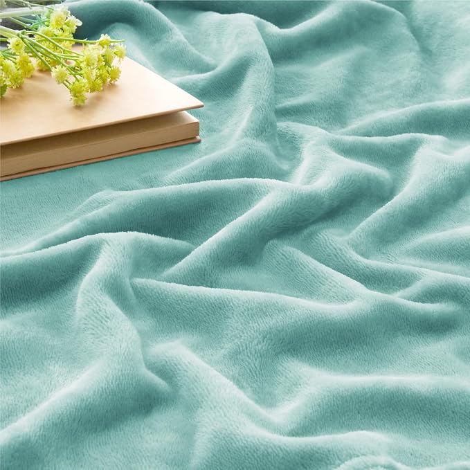 BEDELITE Fleece Blanket Soft Plush Twin Size Blanket Haze Blue 60"x80" | Ultra Soft Fleece, Plush Microfiber, Lightweight Warmth, All Season Comfort, Fade Resistant, Machine Washable, Couch Sofa Bed