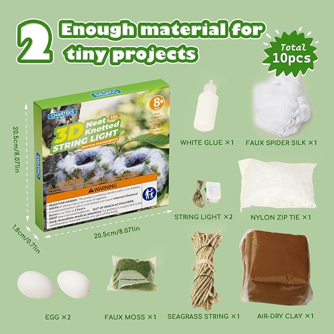 CHARTEKS Bird Nest Craft Kit with LED String Lights - DIY Nature Arts and Crafts STEM Project for Kids & Adults, Creative Home Decor Gift for Boys Girls Ages 8-12