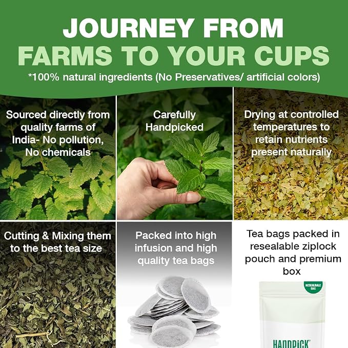 HANDPICK Lemon Balm Tea Bags – 100 Count | 100% Pure & Naturally Dried | Caffeine-Free Herbal Tea with Citrus Flavor & Aroma | Premium Lemon Balm Leaf