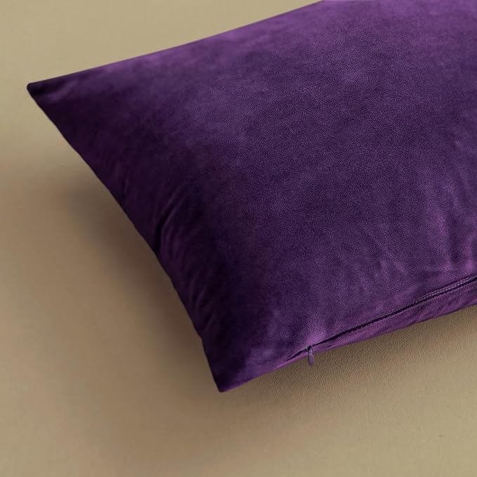 MIULEE Velvet Throw Pillow Covers 22x22 Inch Pack of 2 Eggplant Purple | Soft Solid Decorative Pillow Covers, Modern Luxury Home Decor, for Couch Chair Sofa Bedroom Livingroom
