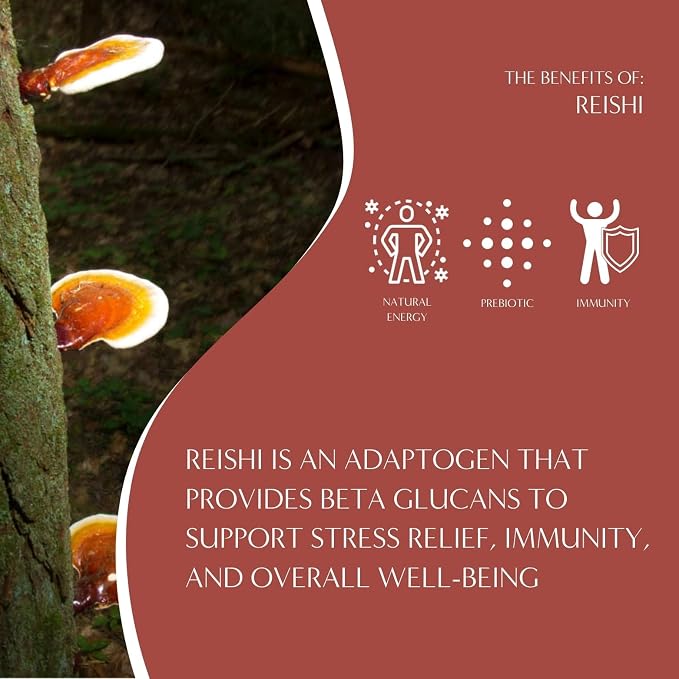 Teeccino Reishi Eleuthero Tea - French Roast - 25 TeaBags - Organic Mushroom Adaptogenic Herbal Tea, 3x More Herbs than Regular Tea Bags, Caffeine Free, Chicory Prebiotic