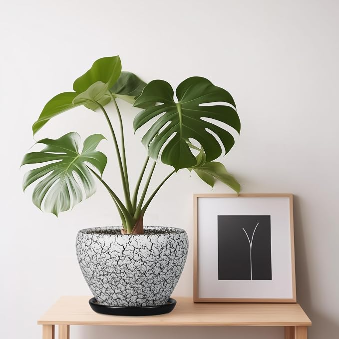 Ceramicfor Ceramic Planter Pot - 6 Inch Plant Pot with Drainage Hole and Saucer, Succulent Pot Glaze Round for Indoor Outdoor Plants, White and Black