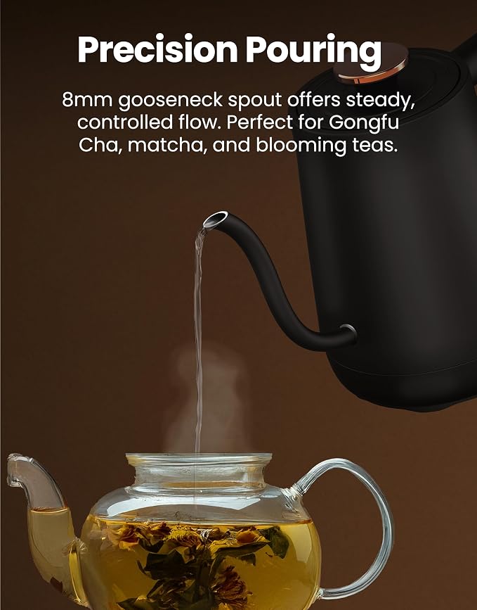 Vianté Electric Gooseneck Kettle with Precise Temperature Control. Pour Over Coffee & Tea Kettle. Boil-Dry Protection & Keep Warm Function. Stainless Steel, BPA-Free. Includes #2 Filters. 0.8L