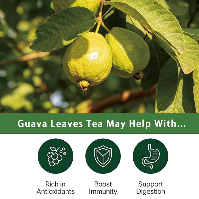 Samcci - Guava Leaves Tea Bags, 50 Teabags - Hojas De Guayaba, Premium Guava Leaf Tea - Immune Support - Digestion & Relaxation - Non-GMO - Caffeine-free