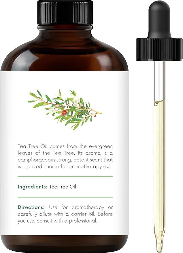 Handcraft Blends Clean & Herbal Set: Rosemary and Tea Tree Essential Oils – (2 x 4 Fl Oz) – 100% Pure & Natural – for Diffuser, Aromatherapy, and DIY Projects