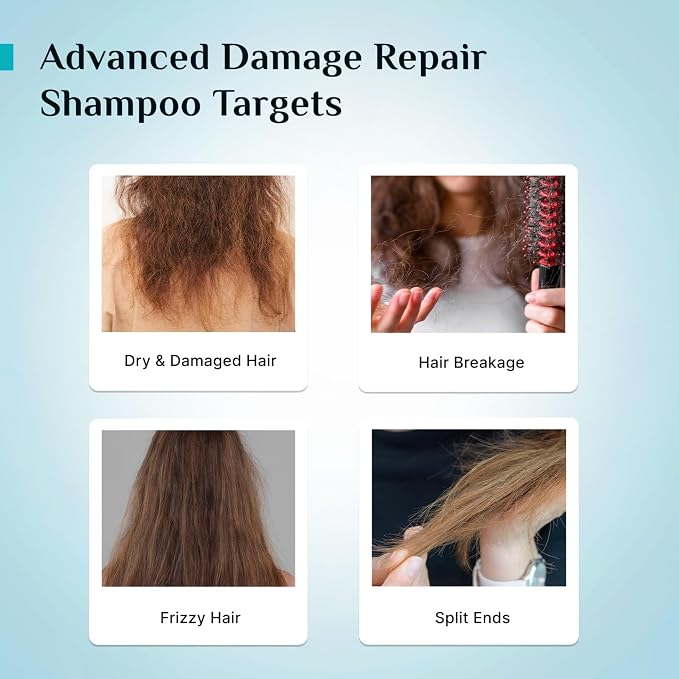 Pilgrim Advanced Damage Repair Shampoo | Hydrates & Strengthens Dry, Damaged Hair | Korean Rice Water, Collagen, 17 Amino Acids, Wheat Protein & 5 Ceramides | 13.53 Fl Oz (400ml)