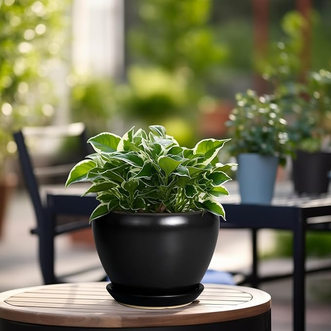 Ceramicfor Ceramic Planter Pot - 6 Inch Plant Pot with Drainage Hole and Saucer Round Planter for Indoor Plants Outdoor Succulent Pot Modern Flower Pot for Home Decor Black