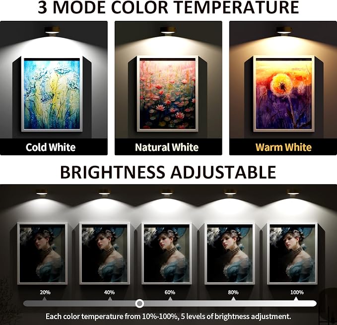 Tututry 6-Pack Picture Lights for Wall, Rechargeable Battery Operated Wireless Magnetic Painting Lights with Remote Dimmable and Timer, Wall Decor Lights with 3 Lighting Modes for Art Display (Gold)