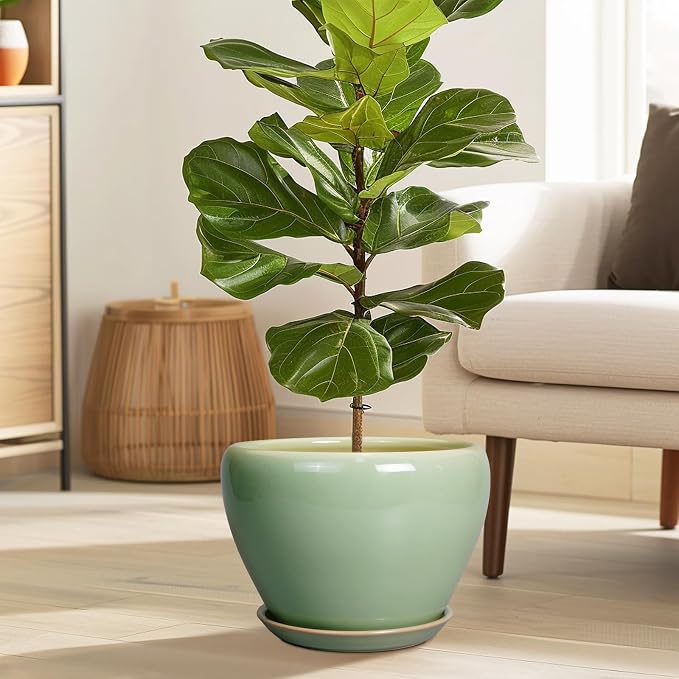 Ceramicfor Ceramic Planter Pot - 10 Inch Plant Pot for Indoor Plants Decorative Planter with Drainage Hole and Saucer Large Pot for Plants Outdoor Round Flower Pot for Garden Green