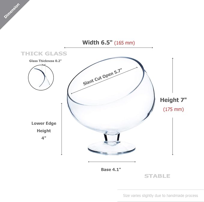 WGV Slant Cut Bowl Glass Vase Bulk with Stand, Width 6.5", Height 7", Clear Planter Terrarium, Candy Dish, Fruit Jar for Wedding Party Event, Home Office Decor, 8 Pieces