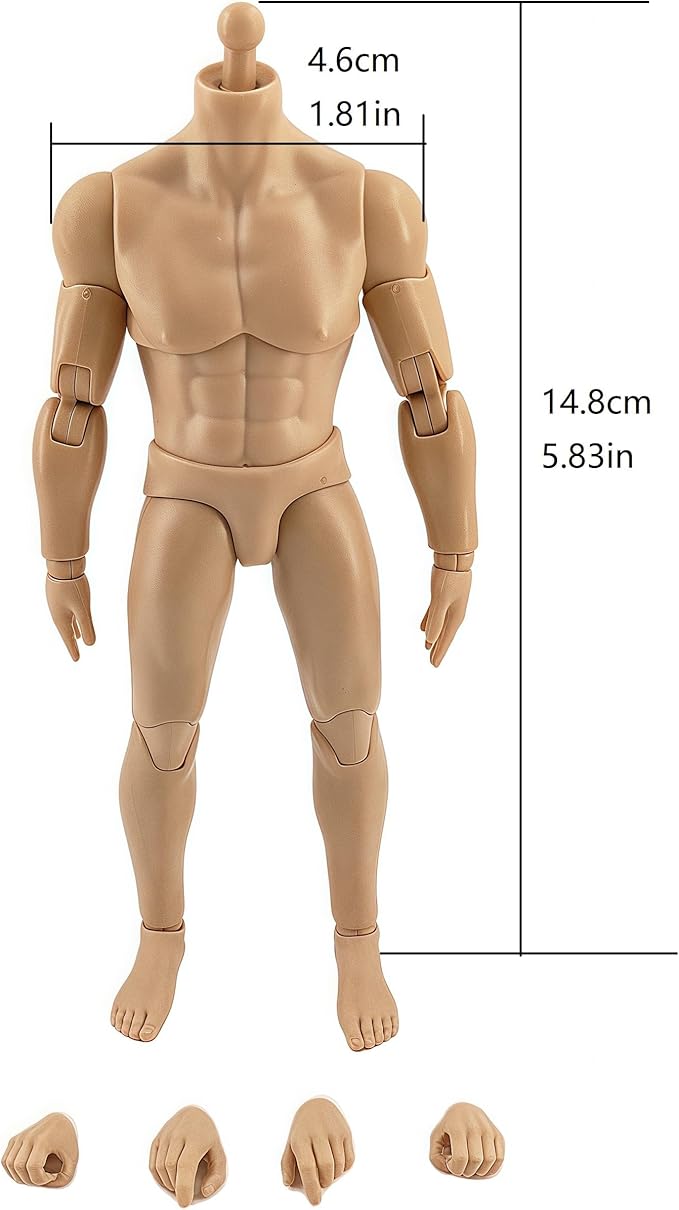 1:12 Male Action Figure Body – 6 Inch Highly Articulated Muscle Figure Base for Custom Military Models, Kitbashing, and Display Builds (2-Part Waist)