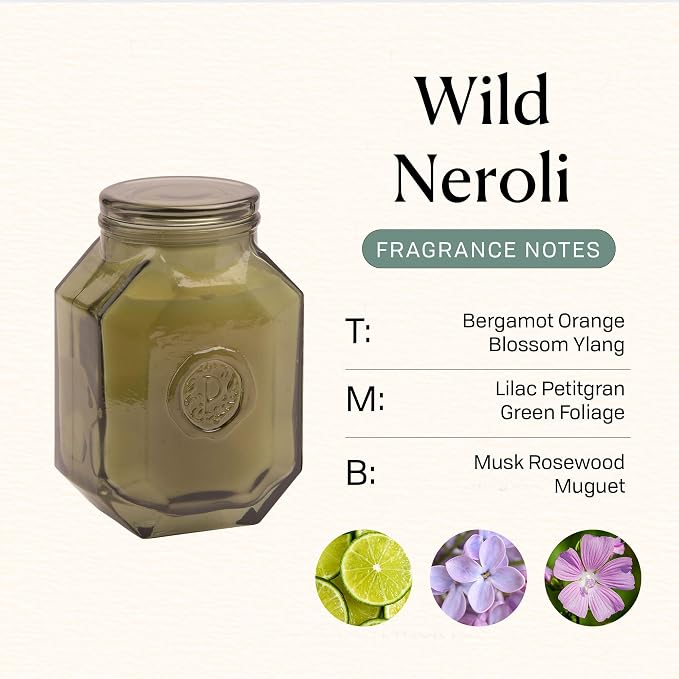 Paddywax Botanica Scented Candle with Lid in Reusable Embossed Glass Jar, Clean-Burn Soy Candle with Approx. 56 Hour Burn Time, Wild Neroli, 8 oz