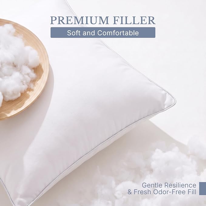 Leeden 30x30 Pillow Inserts Set of 2-30 Inch Extra Large Pillow Insert, Soft Fluffy Decorative Square Cushions for Couch Bed, White Insert Pair