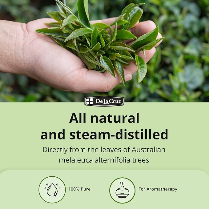 De La Cruz 100% Pure Tea Tree Oil - Steam Distilled Tea Tree Essential Oil for Aromatherapy - 1 FL OZ (2 Bottles)