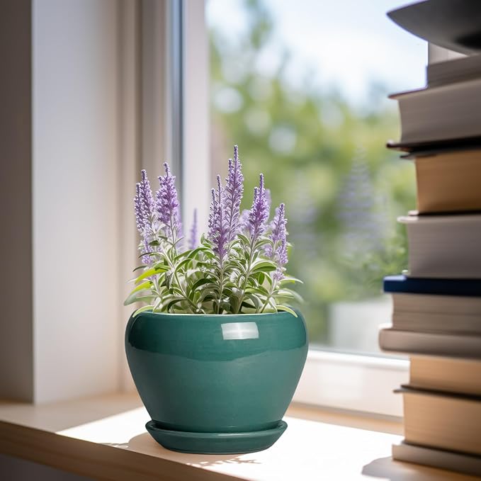 Ceramicfor Indoor Plant Pot 6 Inch - Ceramic Planter with Drainage Hole and Saucer, Modern Decorative Indoor Planter for Herb Succulent Plants, Garden Home Decor, Gifts for Plant Lovers, Green
