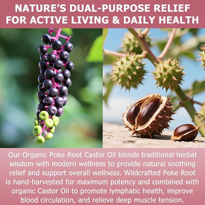 Organic Poke Root Castor Oil – 2 fl oz (60ml) Natural Lymphatic Support Massage Oil, Soothing Relief for Cysts, Boils, Breast, Fibroids, Swollen Lymph Nodes & Joint – Deep Tissue Drops