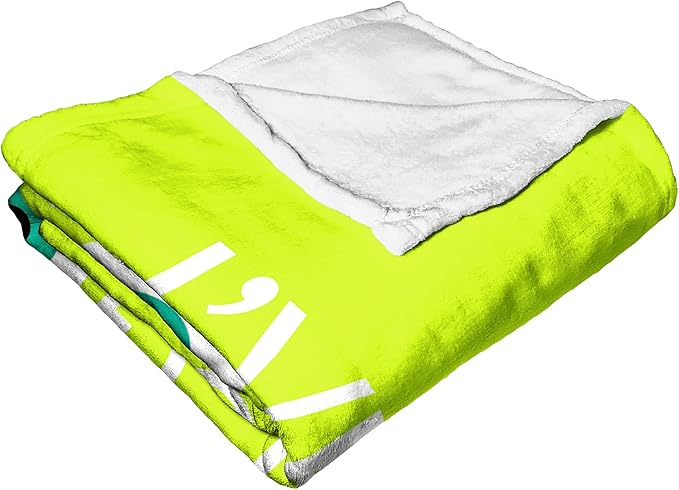 NORTHWEST Disney 100 Silk Touch Throw Blanket, 50" x 60", Got My Eye On You