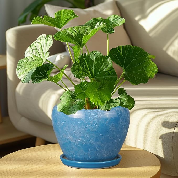 Ceramicfor Ceramic Planter - 8 Inch Plant Pot with Drainage Hole and Saucer, Glaze Round Flower Pot for Home Garden Patio Office, Blue