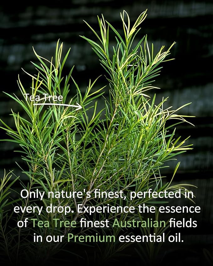 Tea Tree Essential Oil, Aromatherapy, Diffuser, 100%Pure, 4 Fl Oz | for Skin, Hair Care, Nails and Toenail Care, Body Massage, Home Cleaning Spray, DIY Soap Candle Making, Fresh Mint Scent