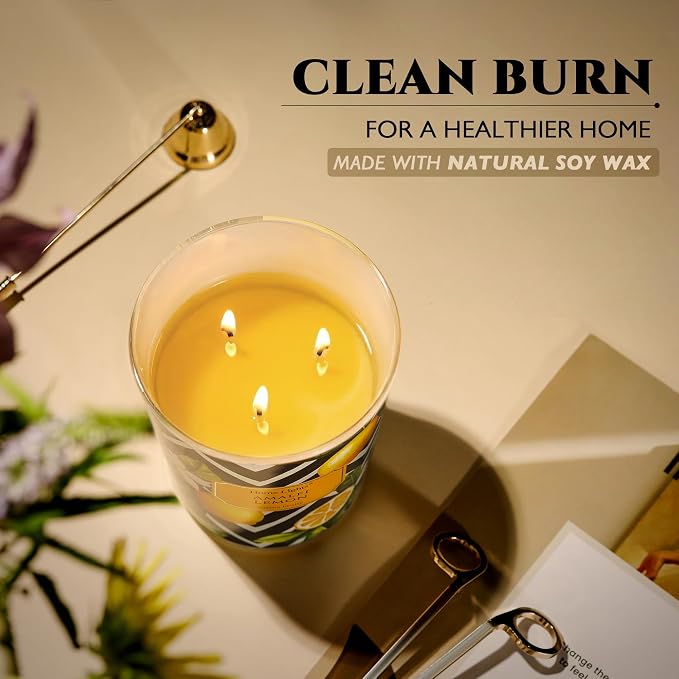 HomeLights Large jar Candle | 3-Wick Long-Lasting Scented Candles, 34oz Natural Soy Wax Candle for Home Scented, Eclectic Mixed Styles Gifts for Women & Men, Amalfi Lemon